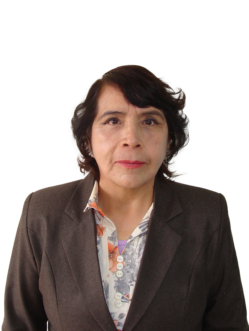 Foto del docente